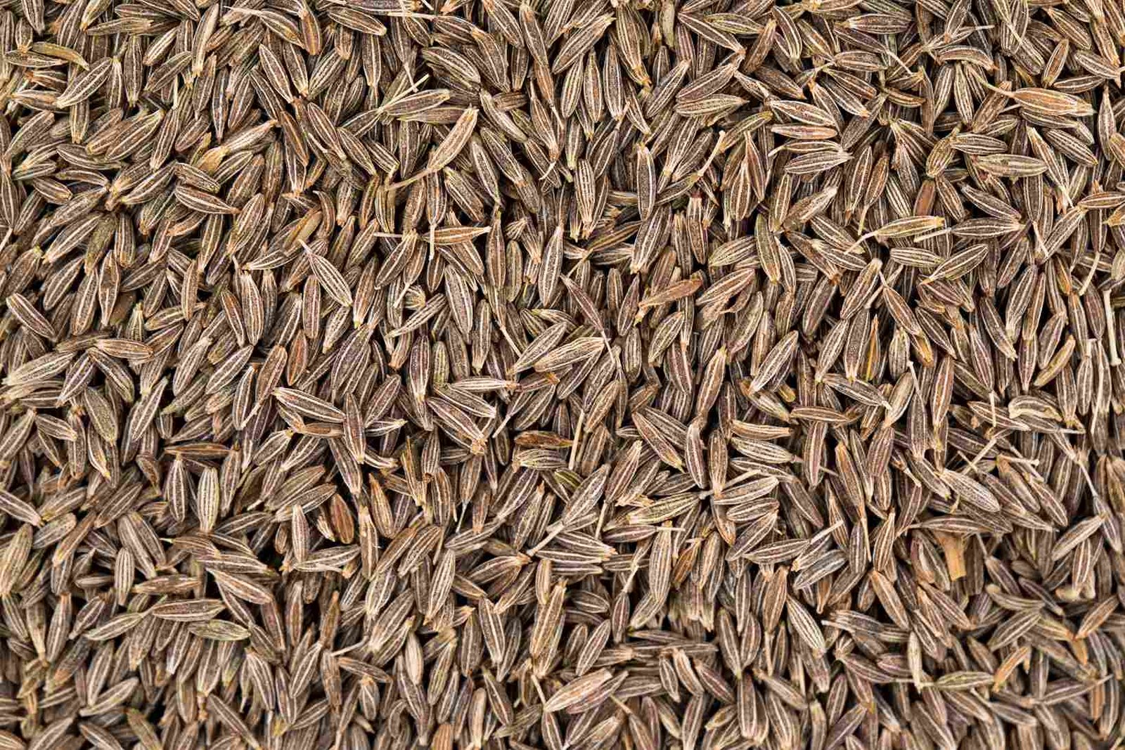 CUMIN SEEDS